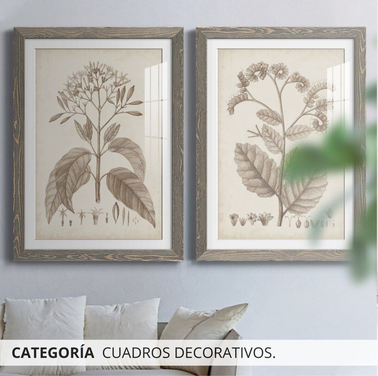 CUADROS DECORATIVOS