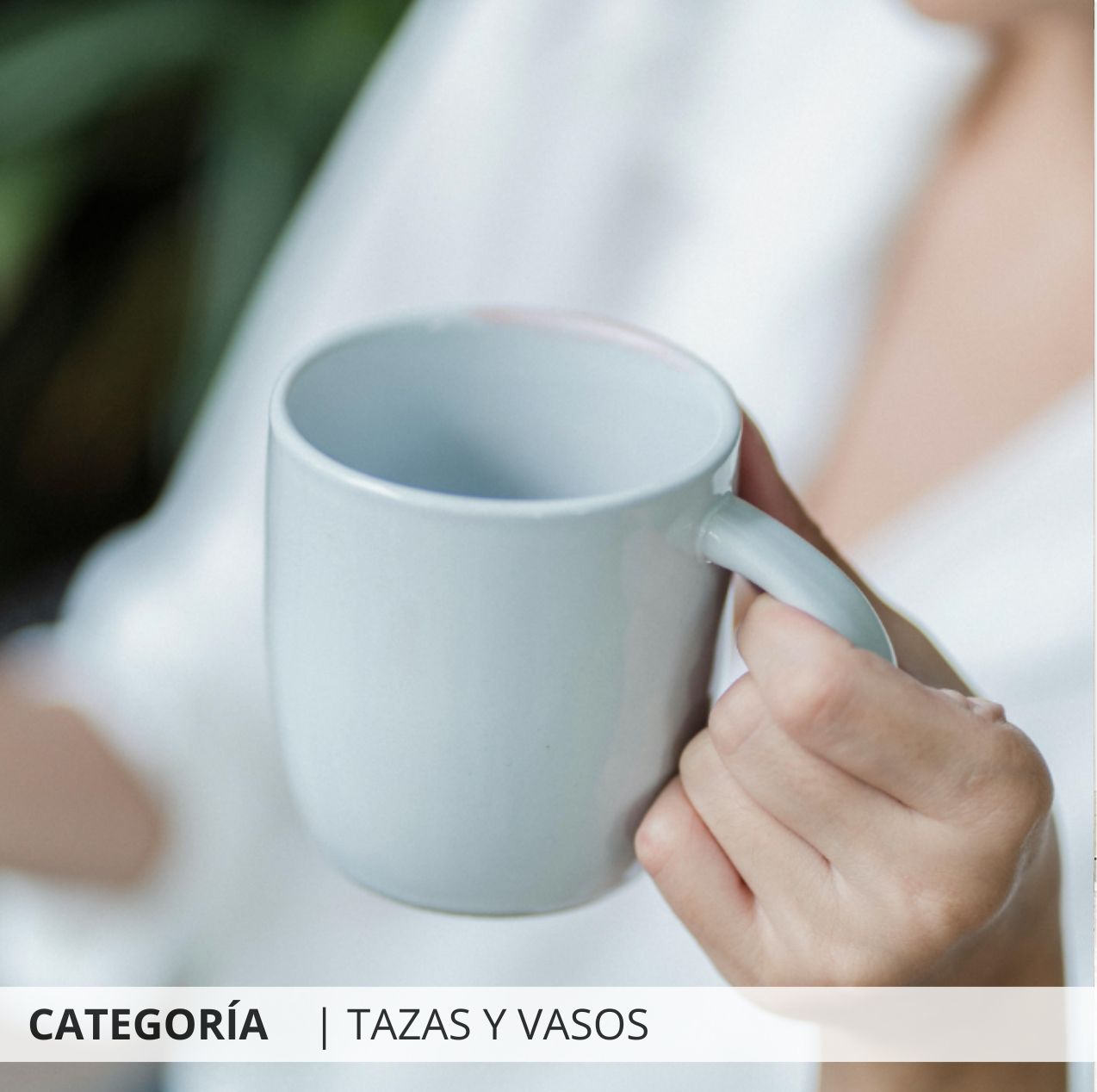 Tazas y vasos