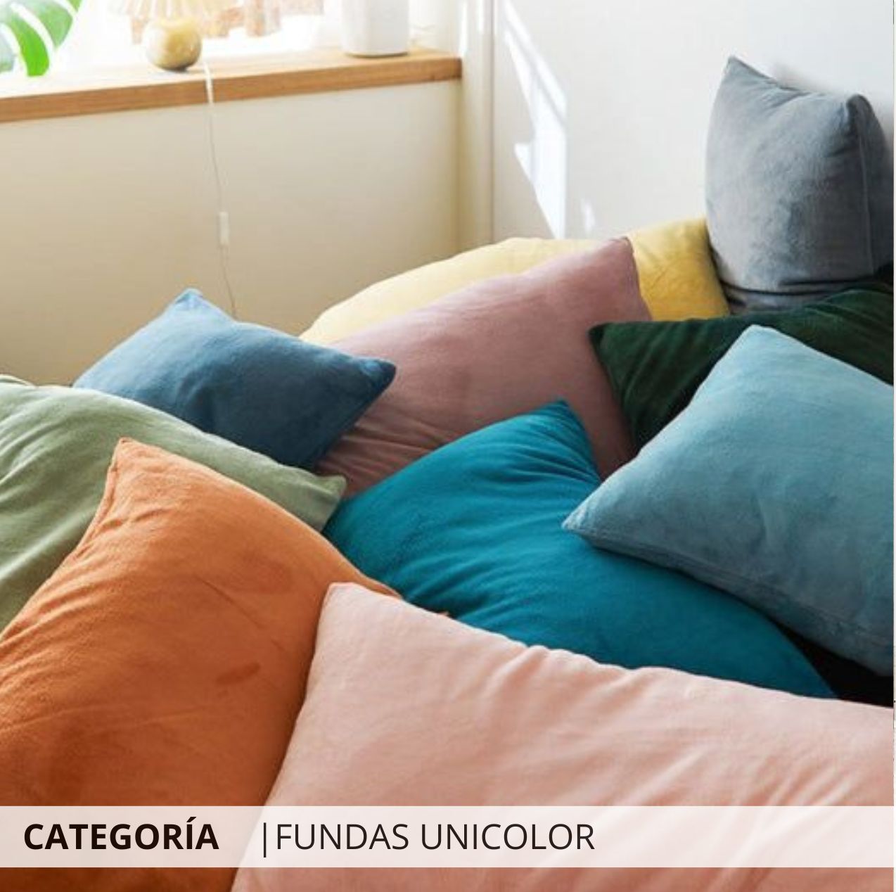 Fundas de cojines unicolor